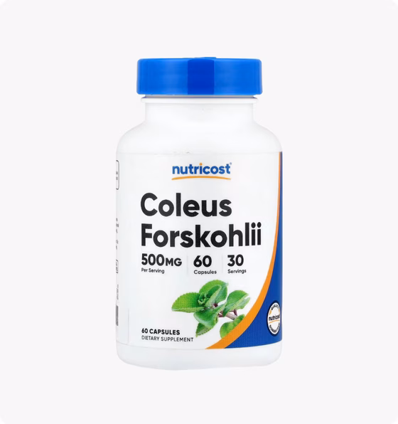 Колеус форсколии (Coleus forskohlii)
