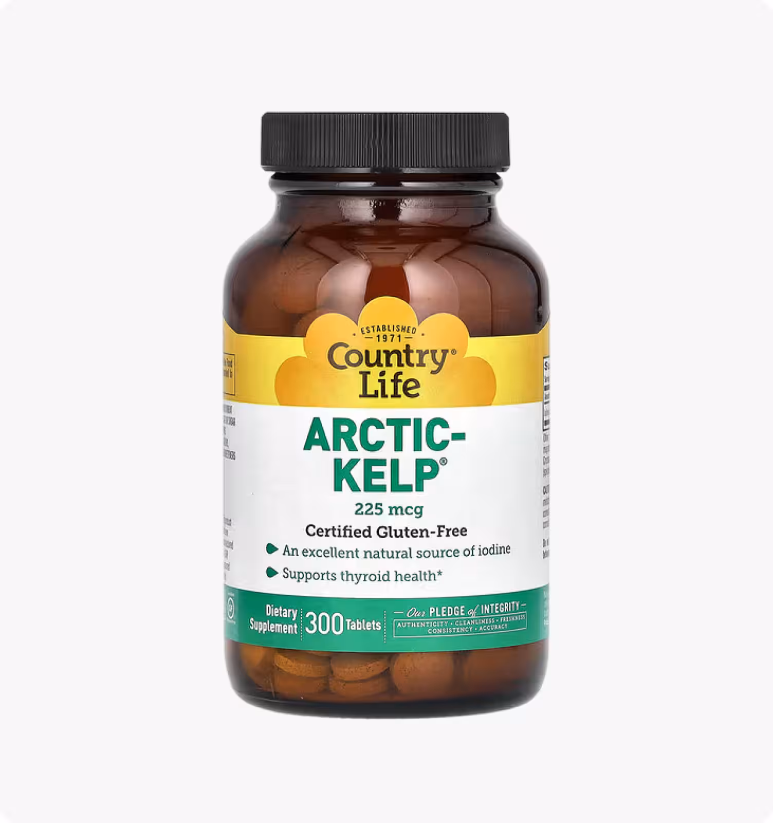 Arctic-Kelp