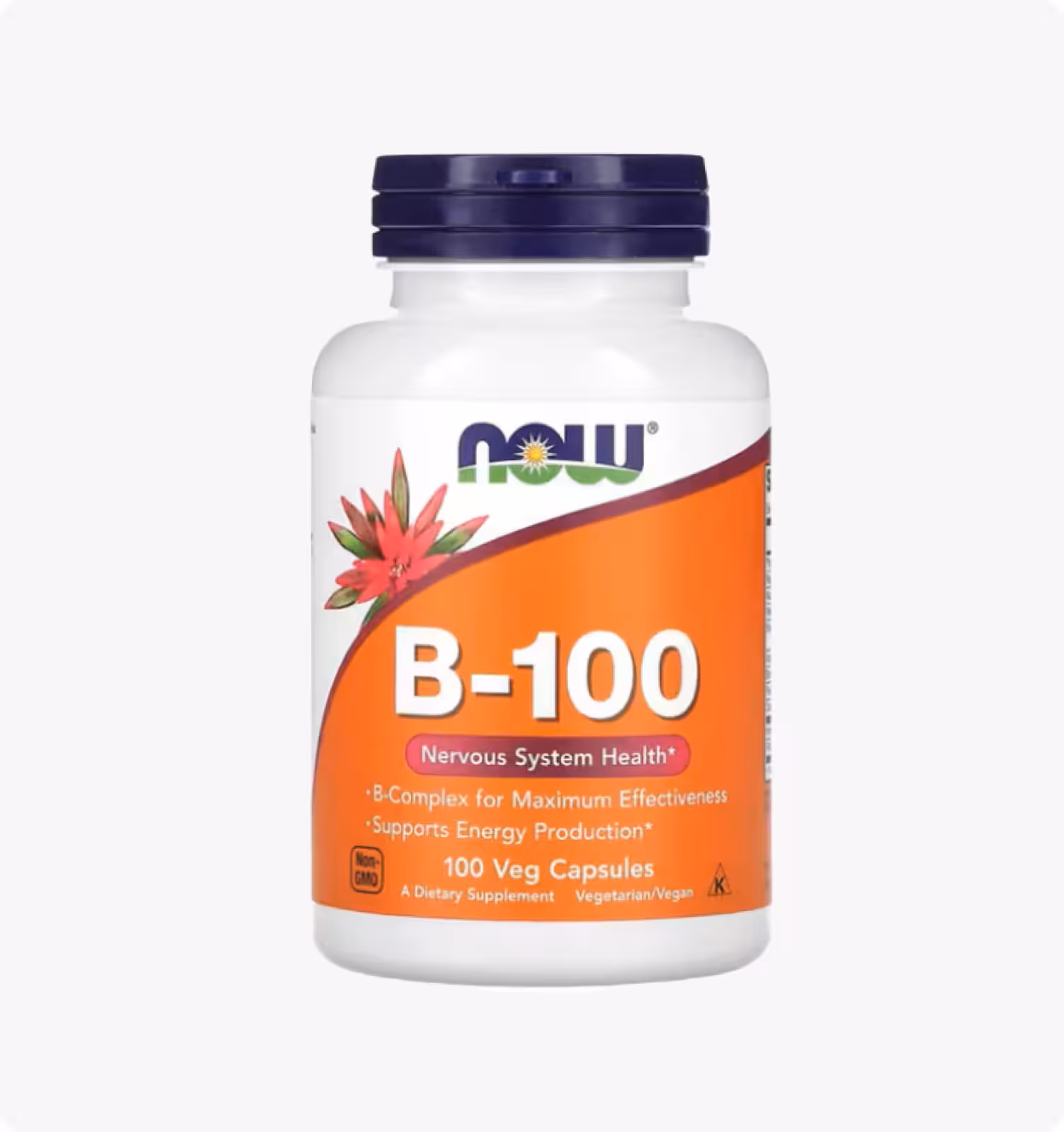 NOW Foods, B-100, 100 растительных капсул