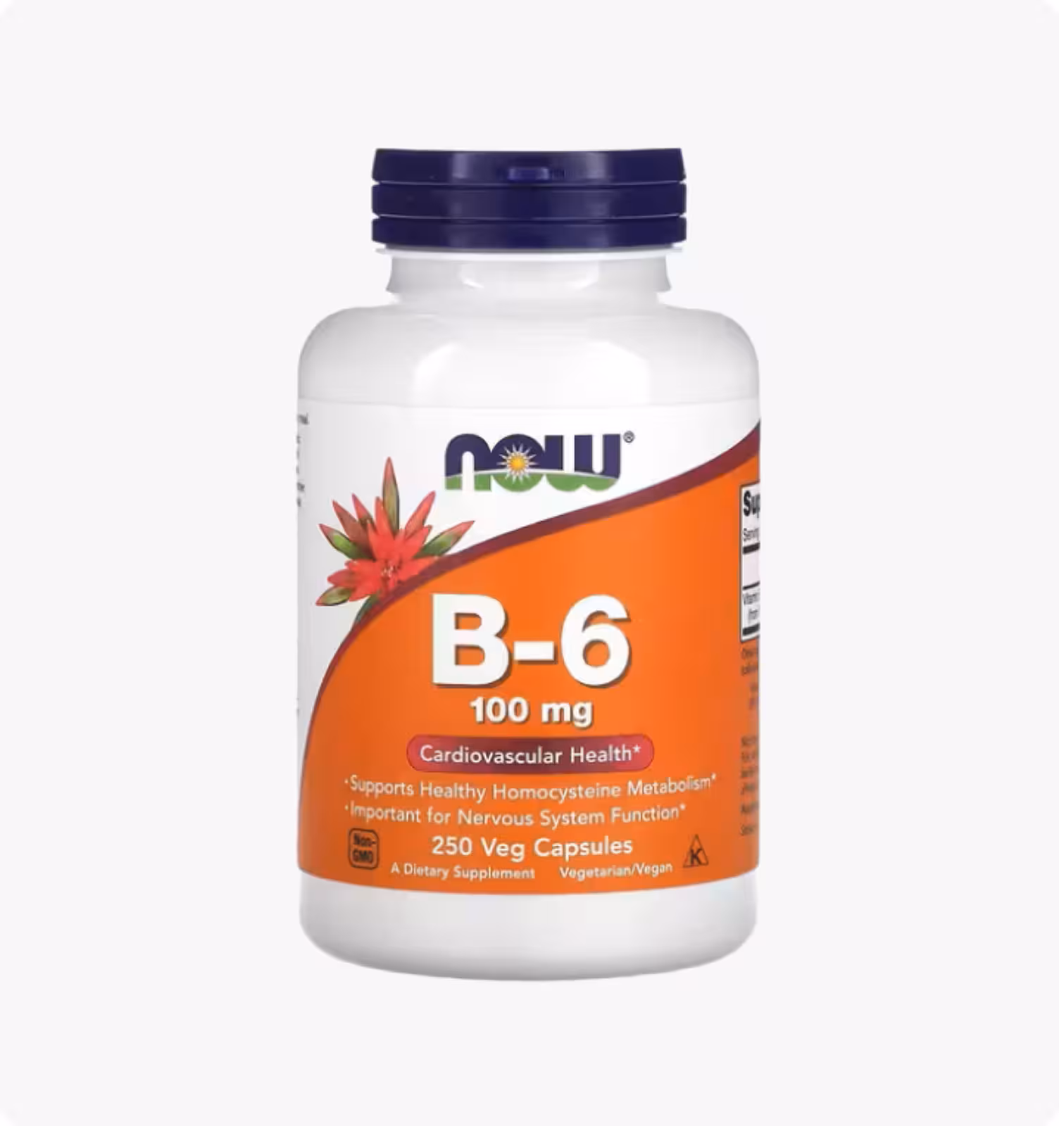 Now Foods, витамин В6, 100 мг, 250 вегетарианских капсул