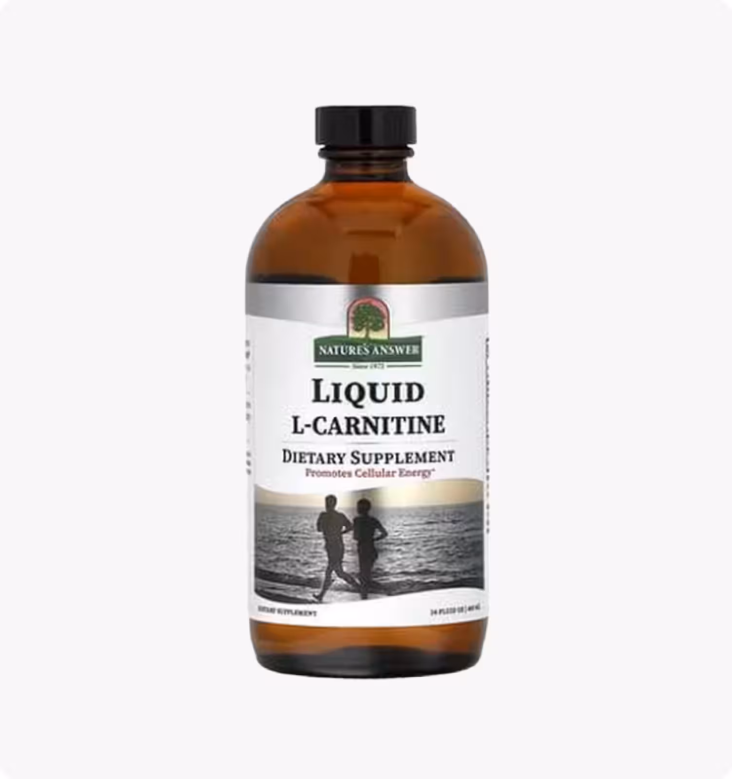 Nature's Answer, жидкий L-карнитин, 480 мл (16 жидк. унций)